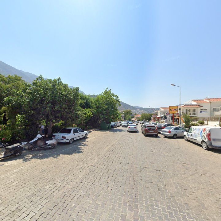 Fotoğraf 8