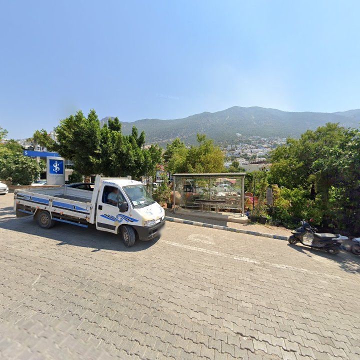 Fotoğraf 7