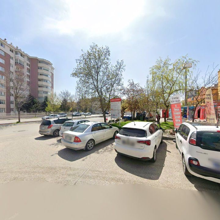 Fotoğraf 4