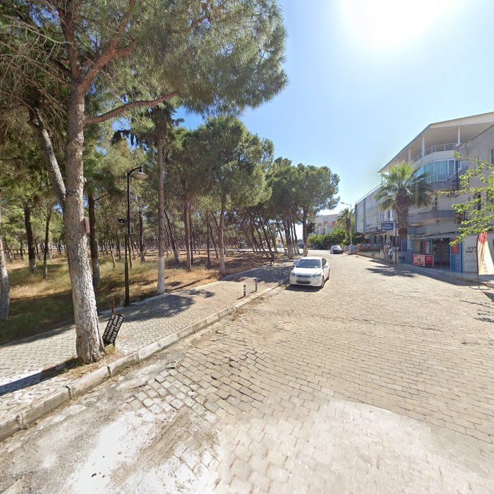 Fotoğraf 9