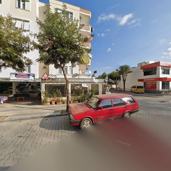 Fotoğraf 6