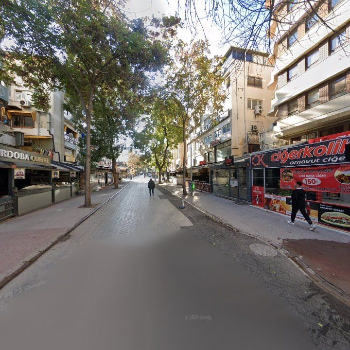 Fotoğraf 15