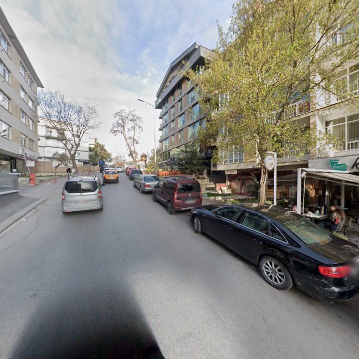 Fotoğraf 12