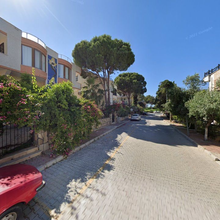 Fotoğraf 8
