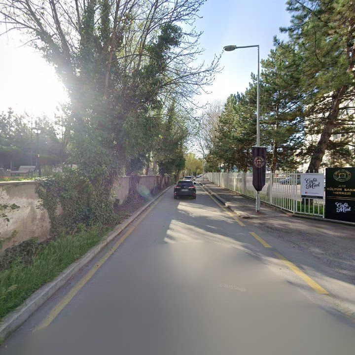 Fotoğraf 10
