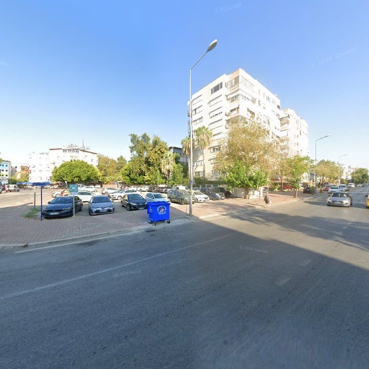 Fotoğraf 13