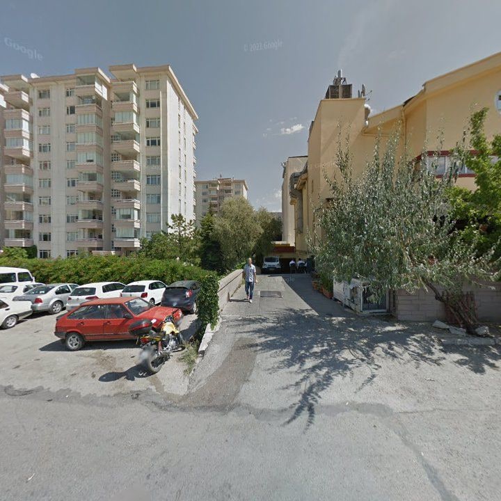 Fotoğraf 11