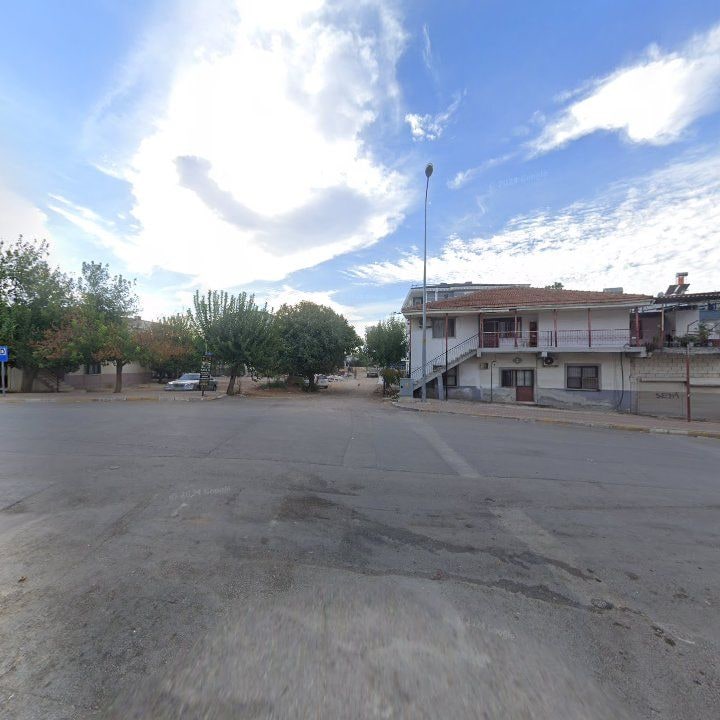 Fotoğraf 8