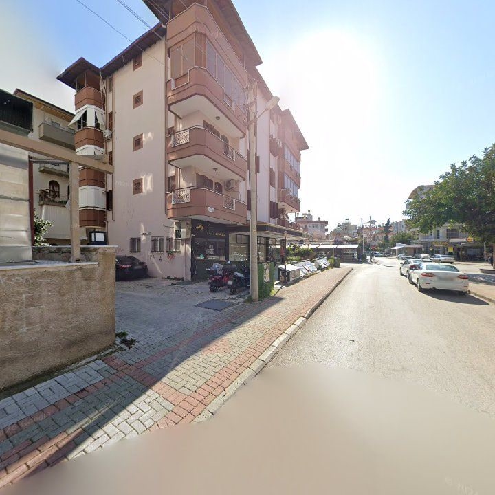 Fotoğraf 12
