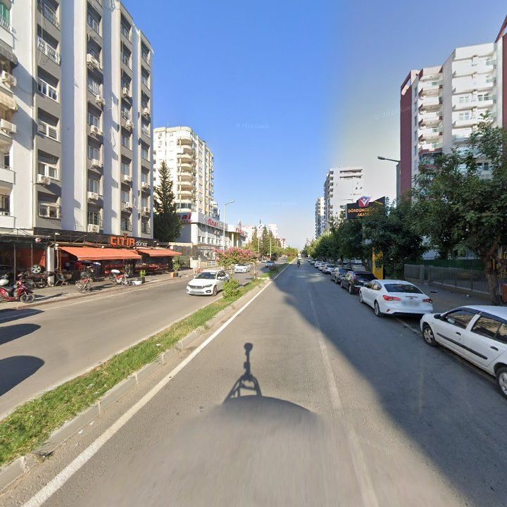 Fotoğraf 10