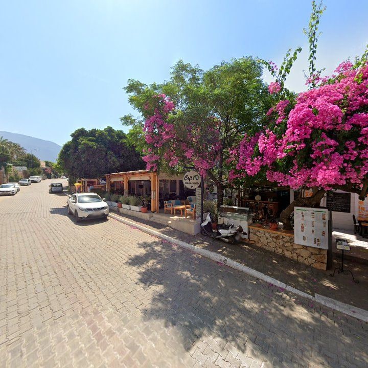 Fotoğraf 10