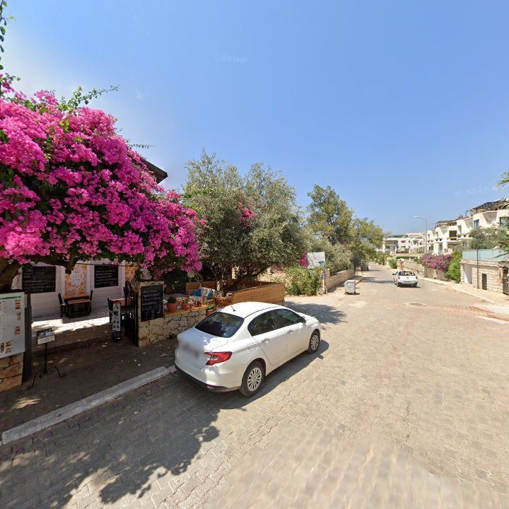 Fotoğraf 11