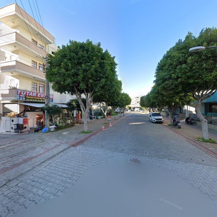 Fotoğraf 10