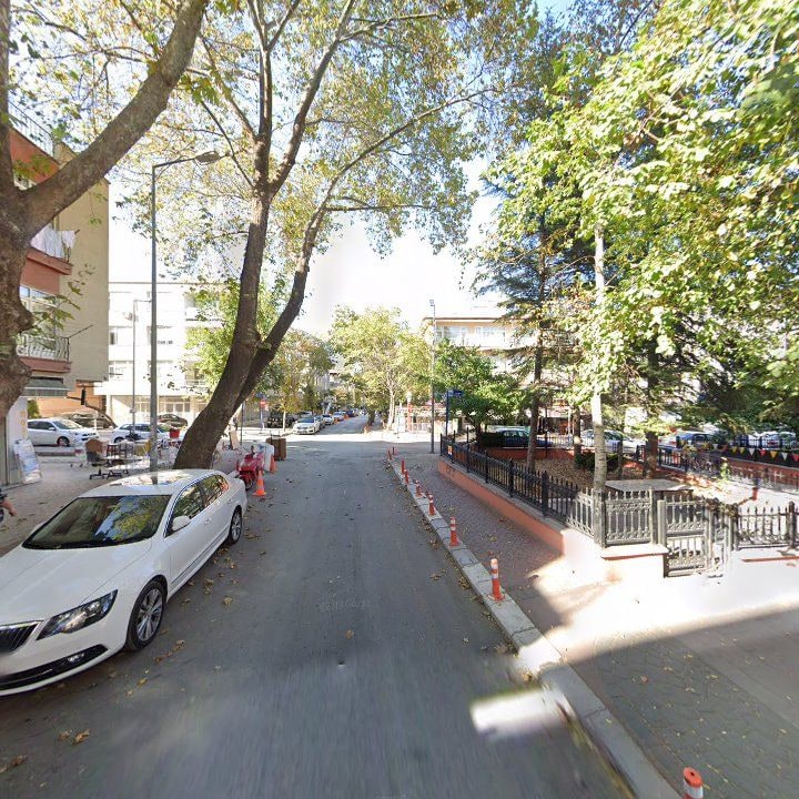 Fotoğraf 9