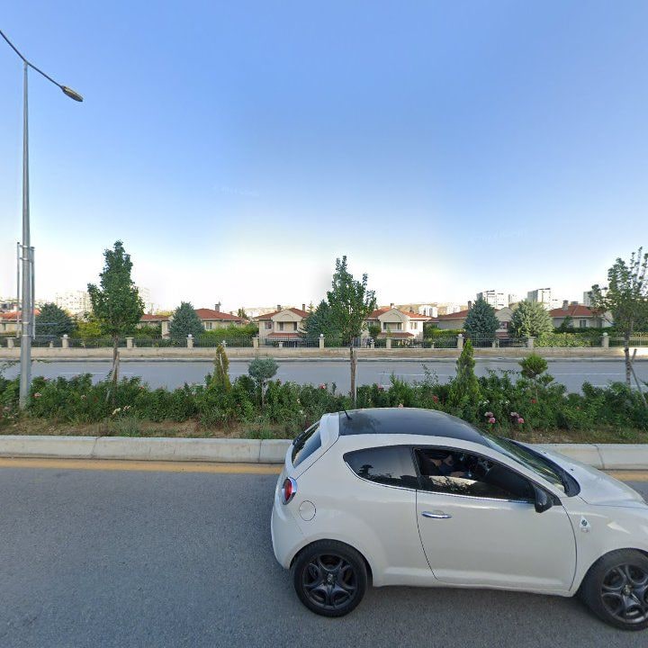 Fotoğraf 11