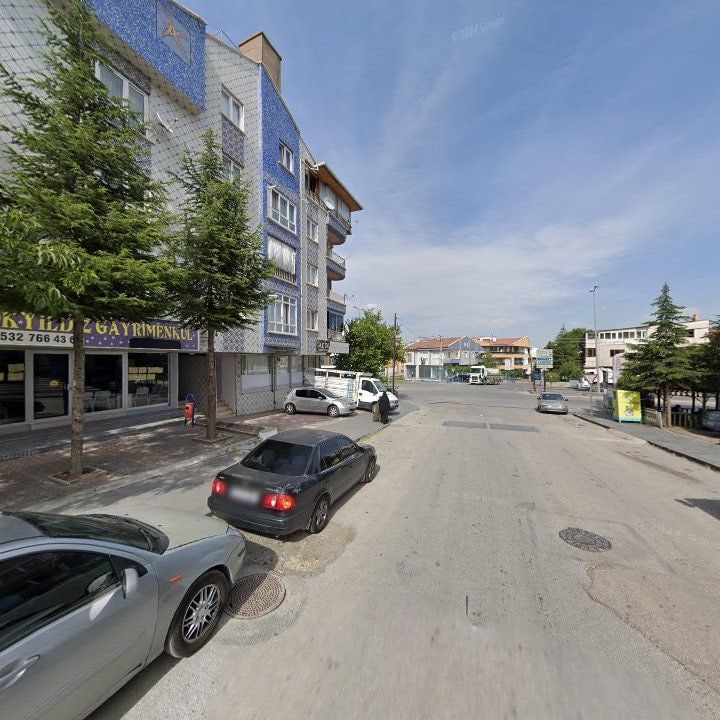 Fotoğraf 9