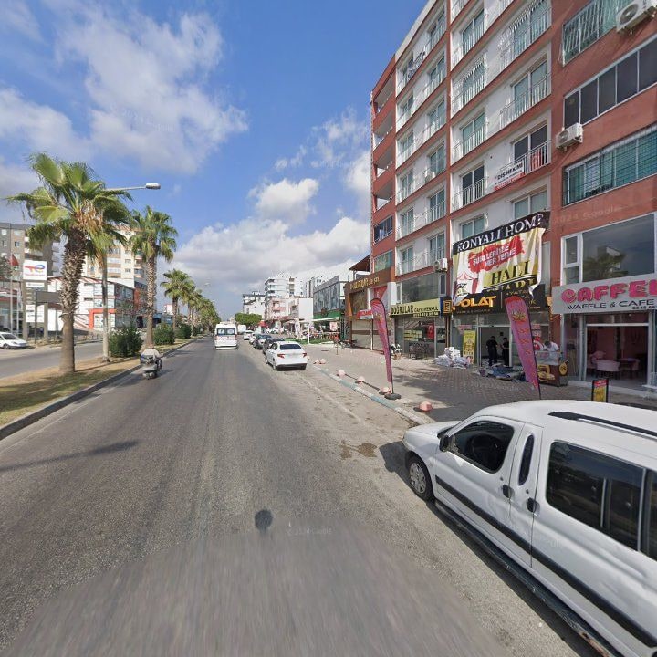 Fotoğraf 7