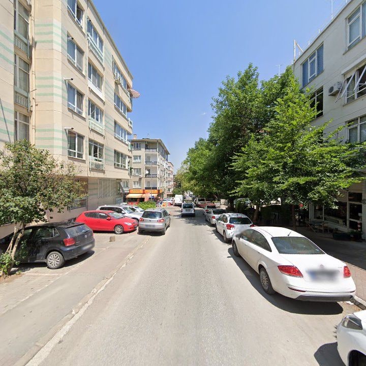 Fotoğraf 11