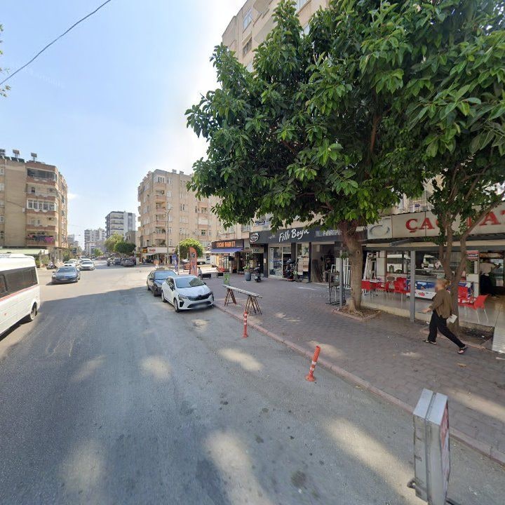 Fotoğraf 10