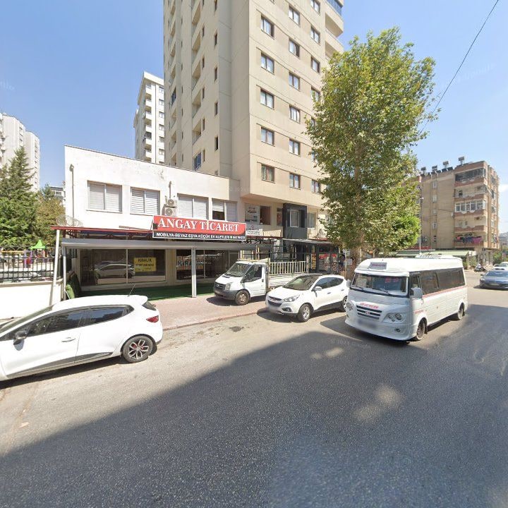 Fotoğraf 13
