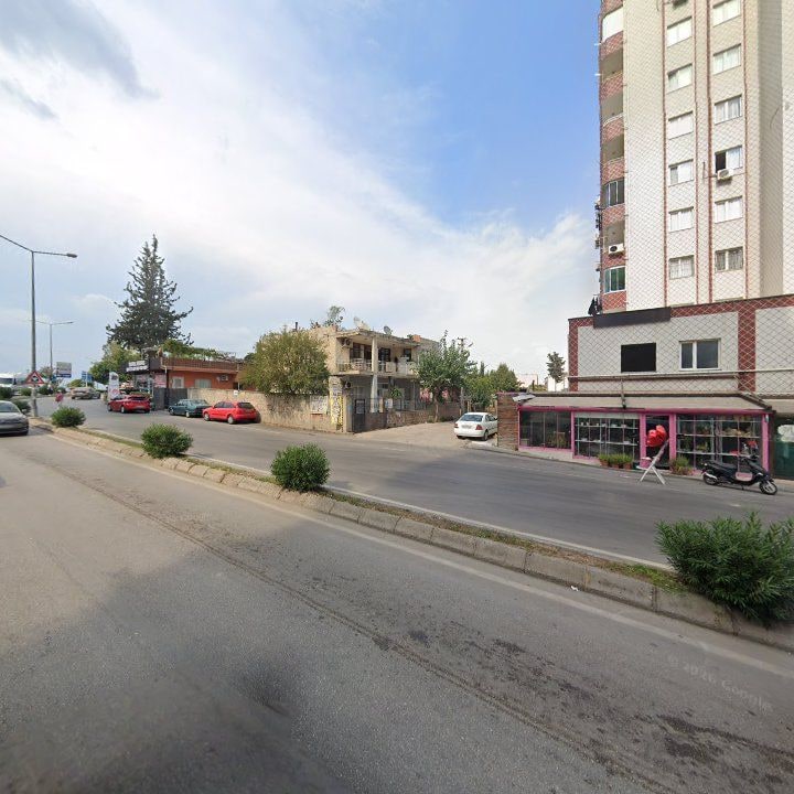 Fotoğraf 8