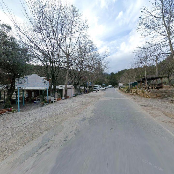 Fotoğraf 11
