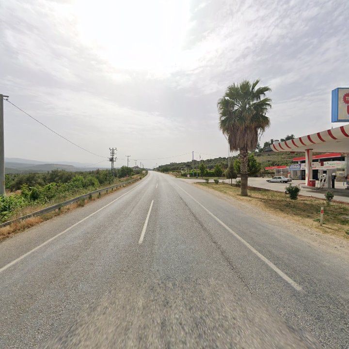 Fotoğraf 9