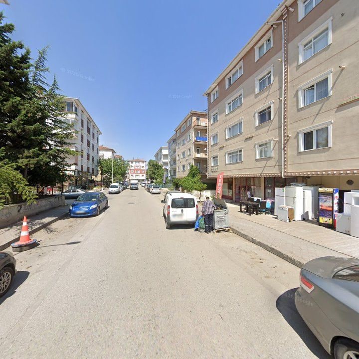Fotoğraf 8