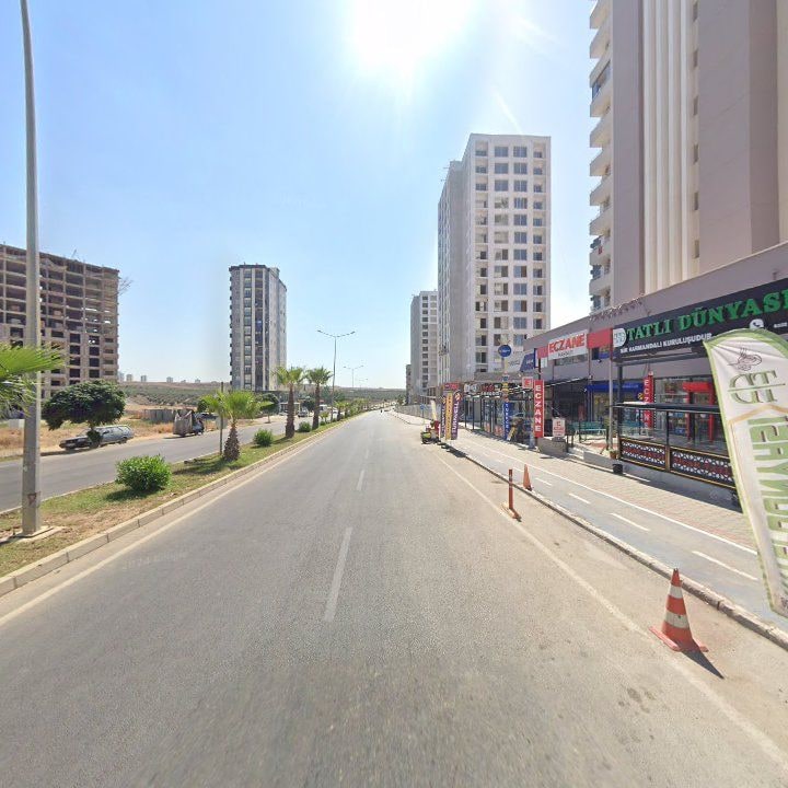 Fotoğraf 11