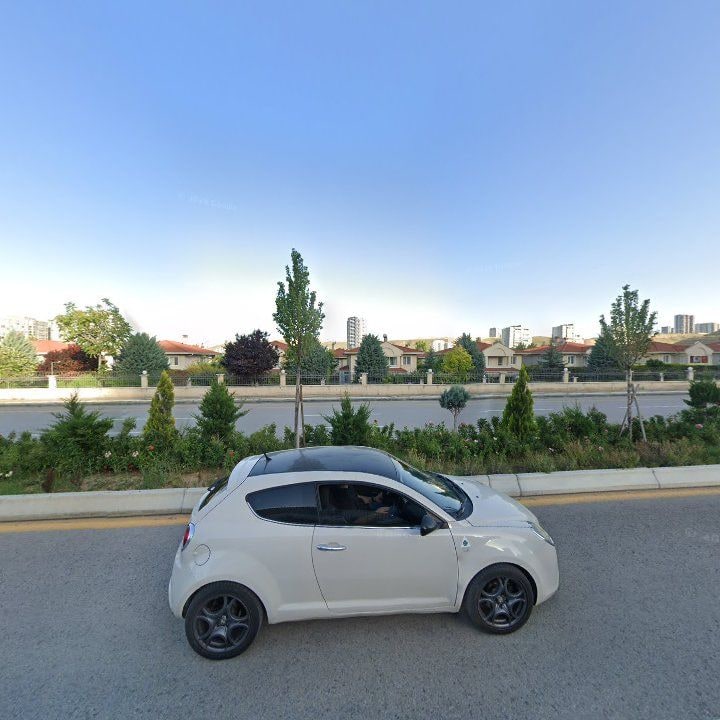Fotoğraf 10