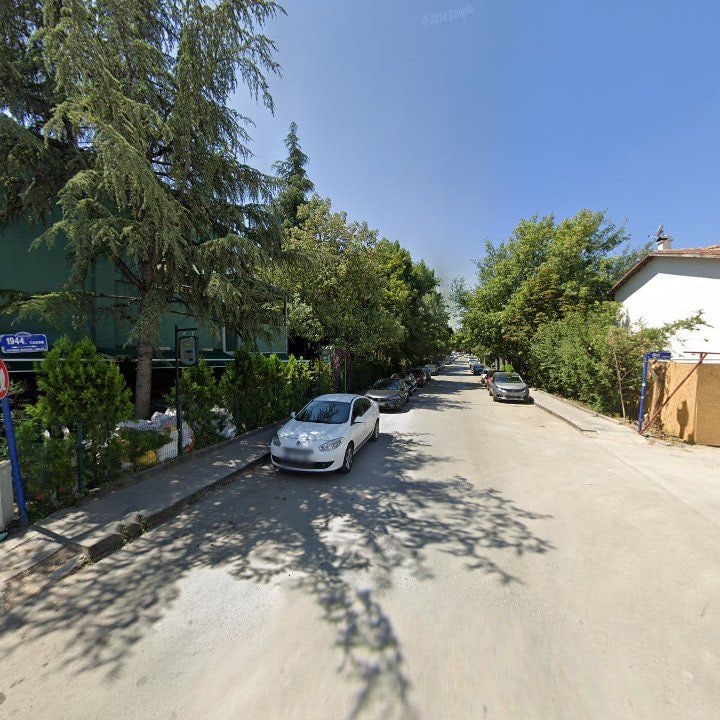 Fotoğraf 9