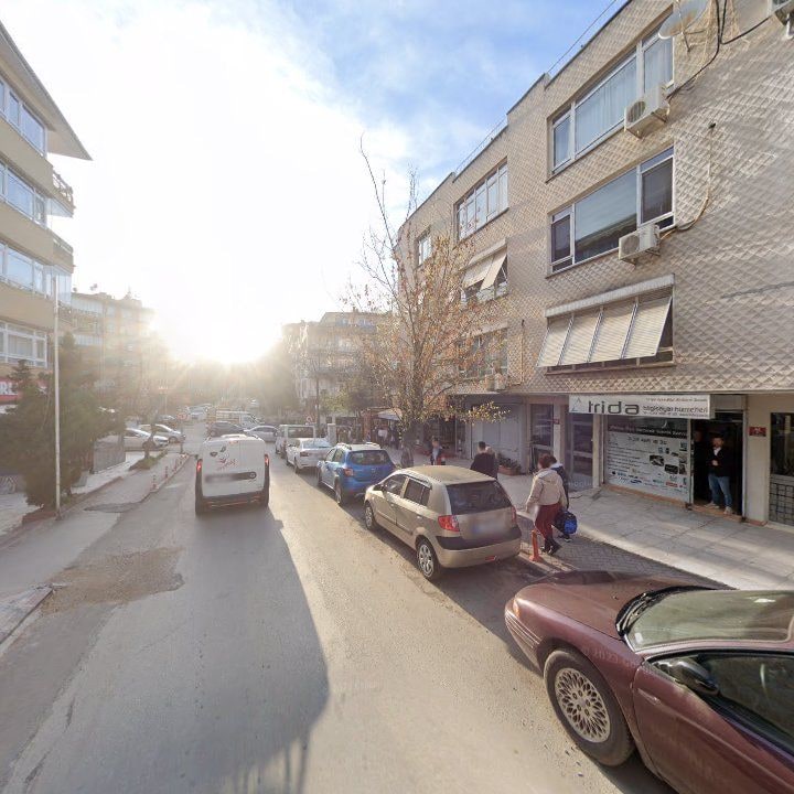 Fotoğraf 10