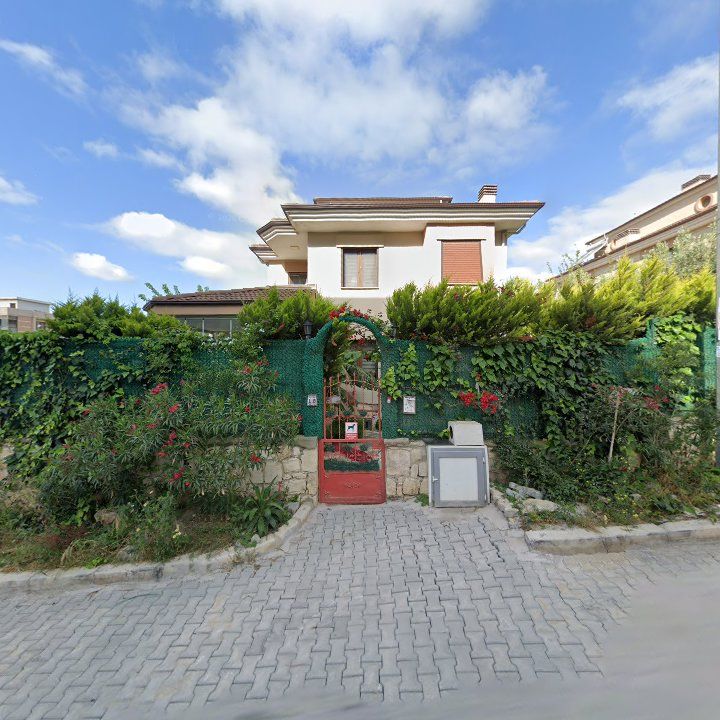 Fotoğraf 11