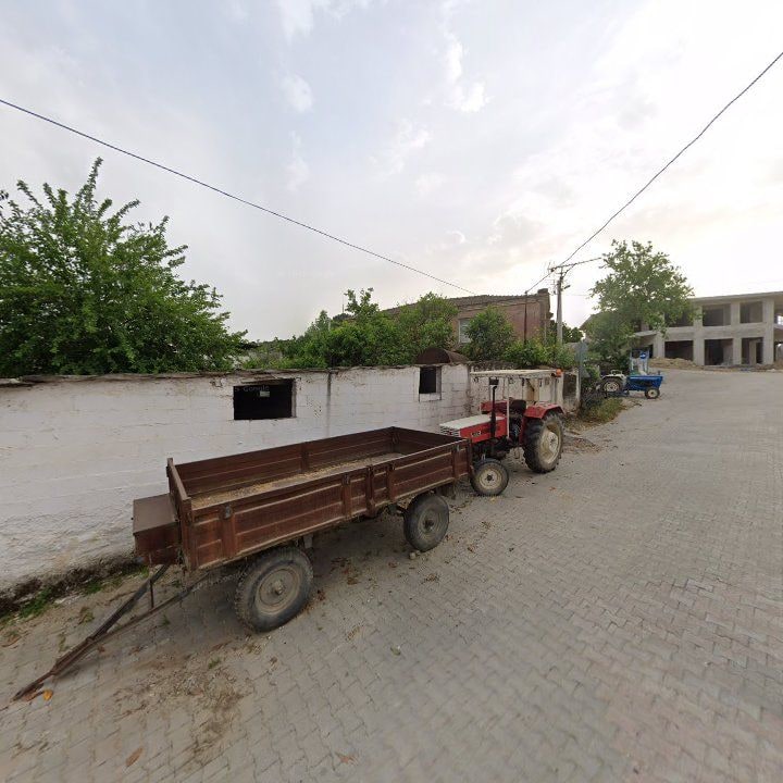 Fotoğraf 7