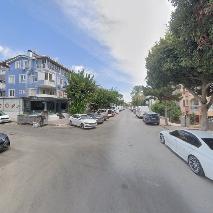 Fotoğraf 8