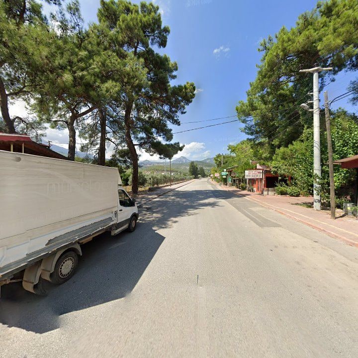 Fotoğraf 8