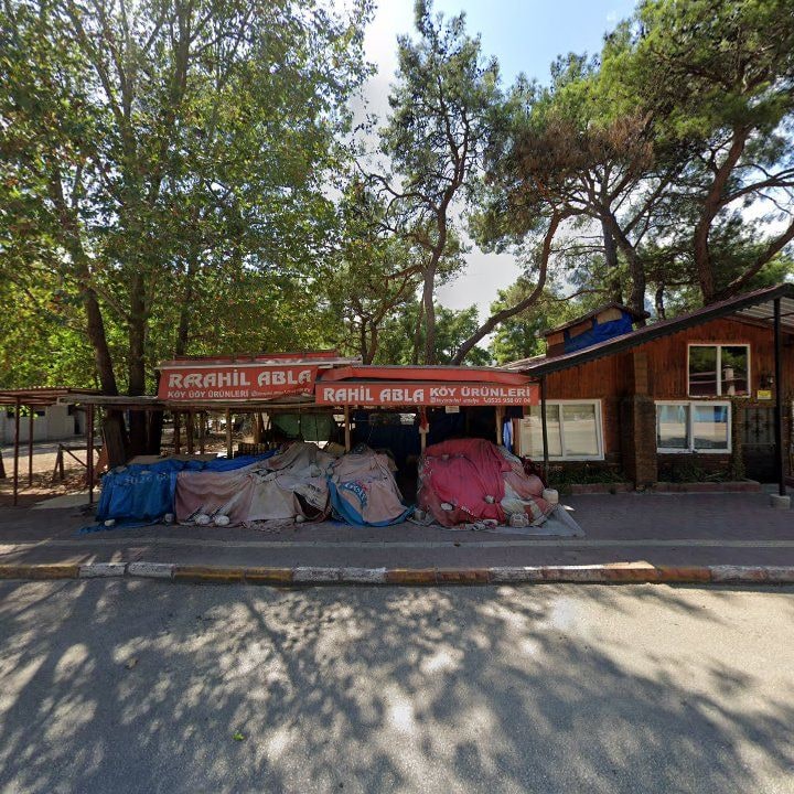 Fotoğraf 8