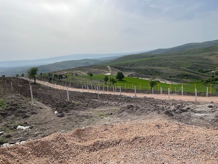 Çalseki Vista