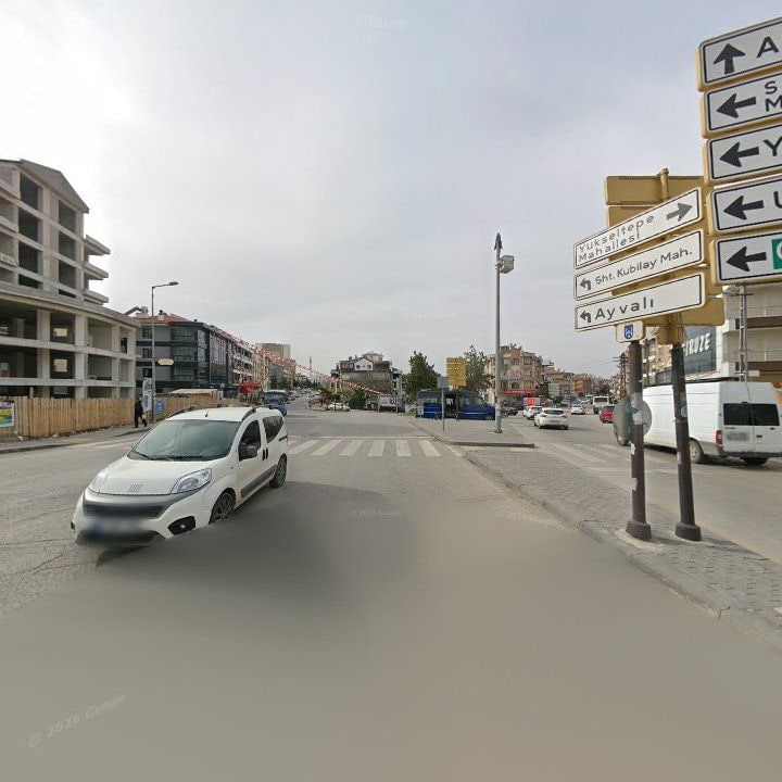 Fotoğraf 14