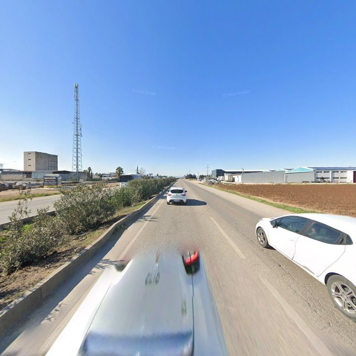 Fotoğraf 10