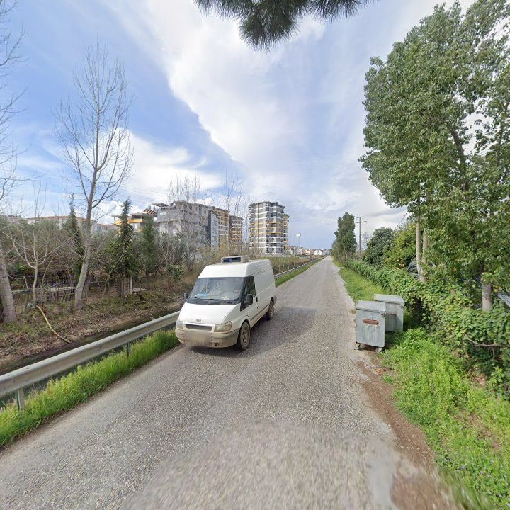 Fotoğraf 12