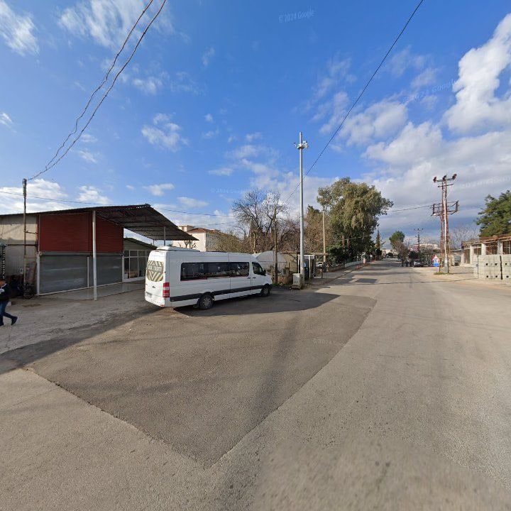 Fotoğraf 7