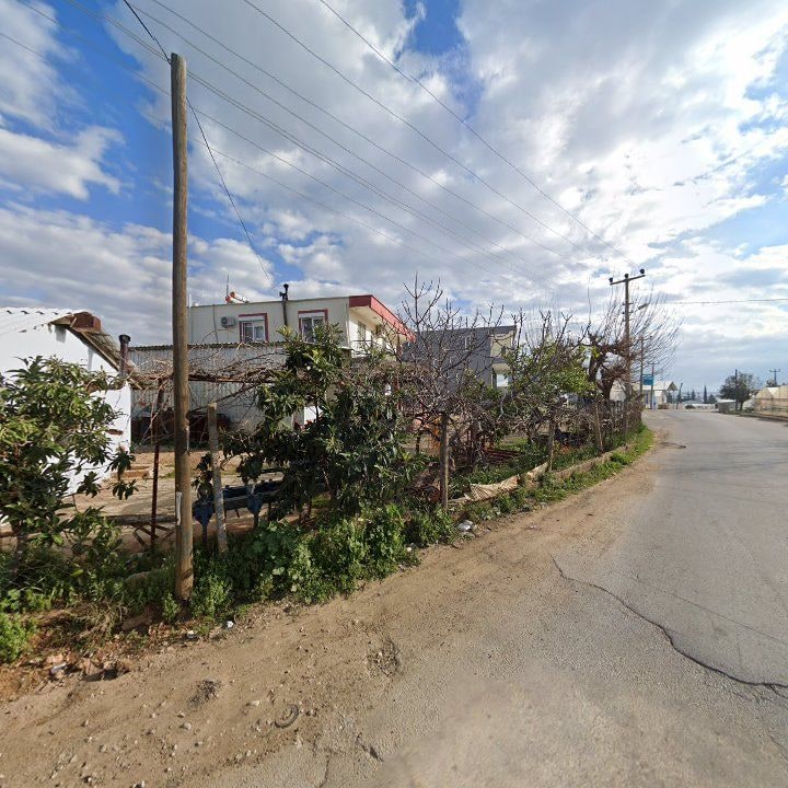 Fotoğraf 9