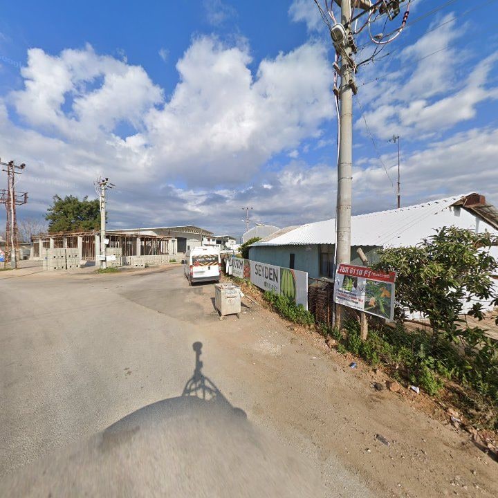 Fotoğraf 8