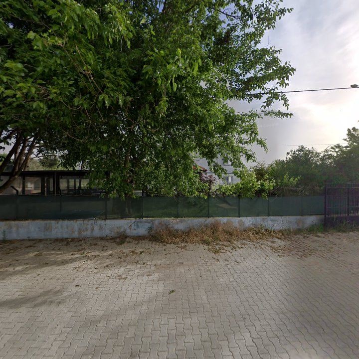 Fotoğraf 6