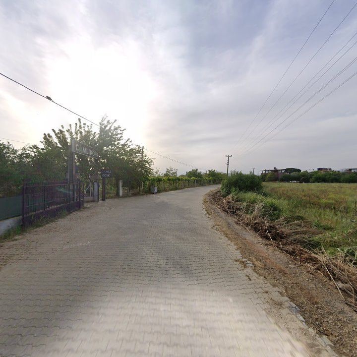 Fotoğraf 7