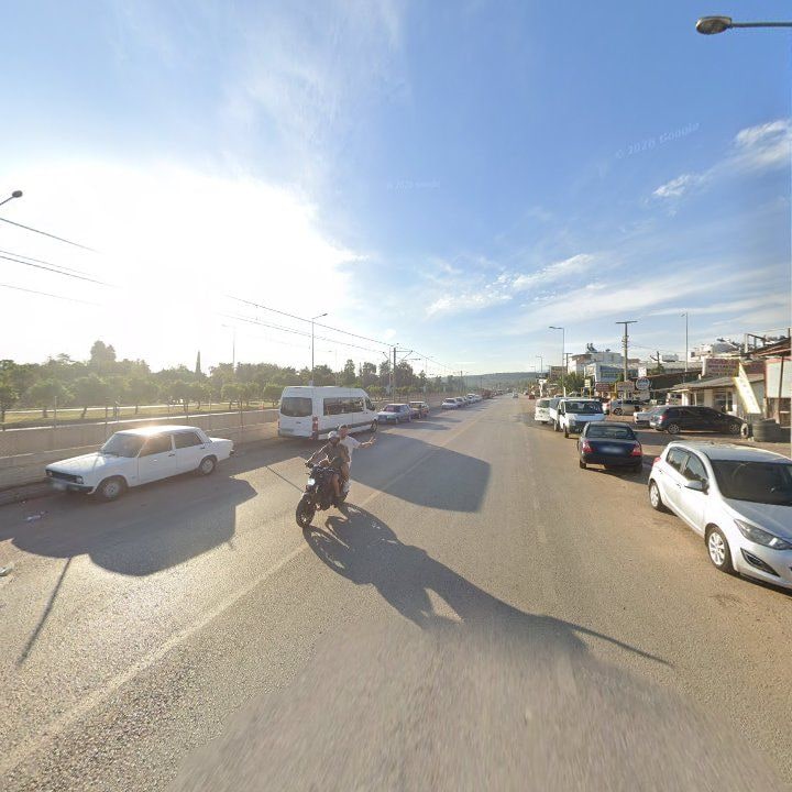 Fotoğraf 7