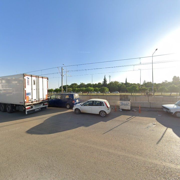 Fotoğraf 6