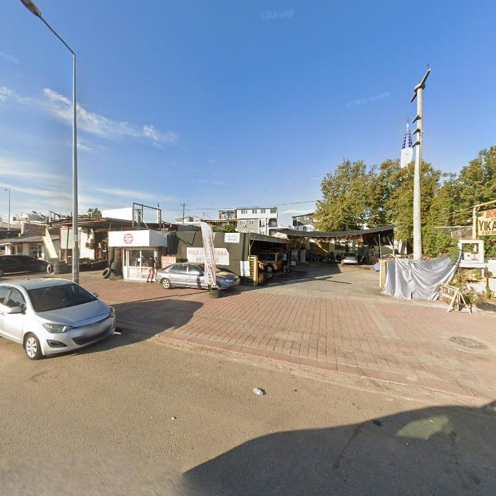 Fotoğraf 8