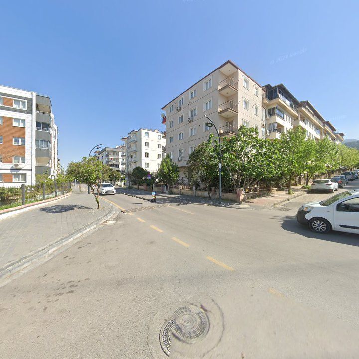 Fotoğraf 10